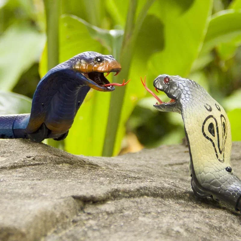 RC Snake Realistic Snake Toys  - Ir Infrared Receiver 评论和价格